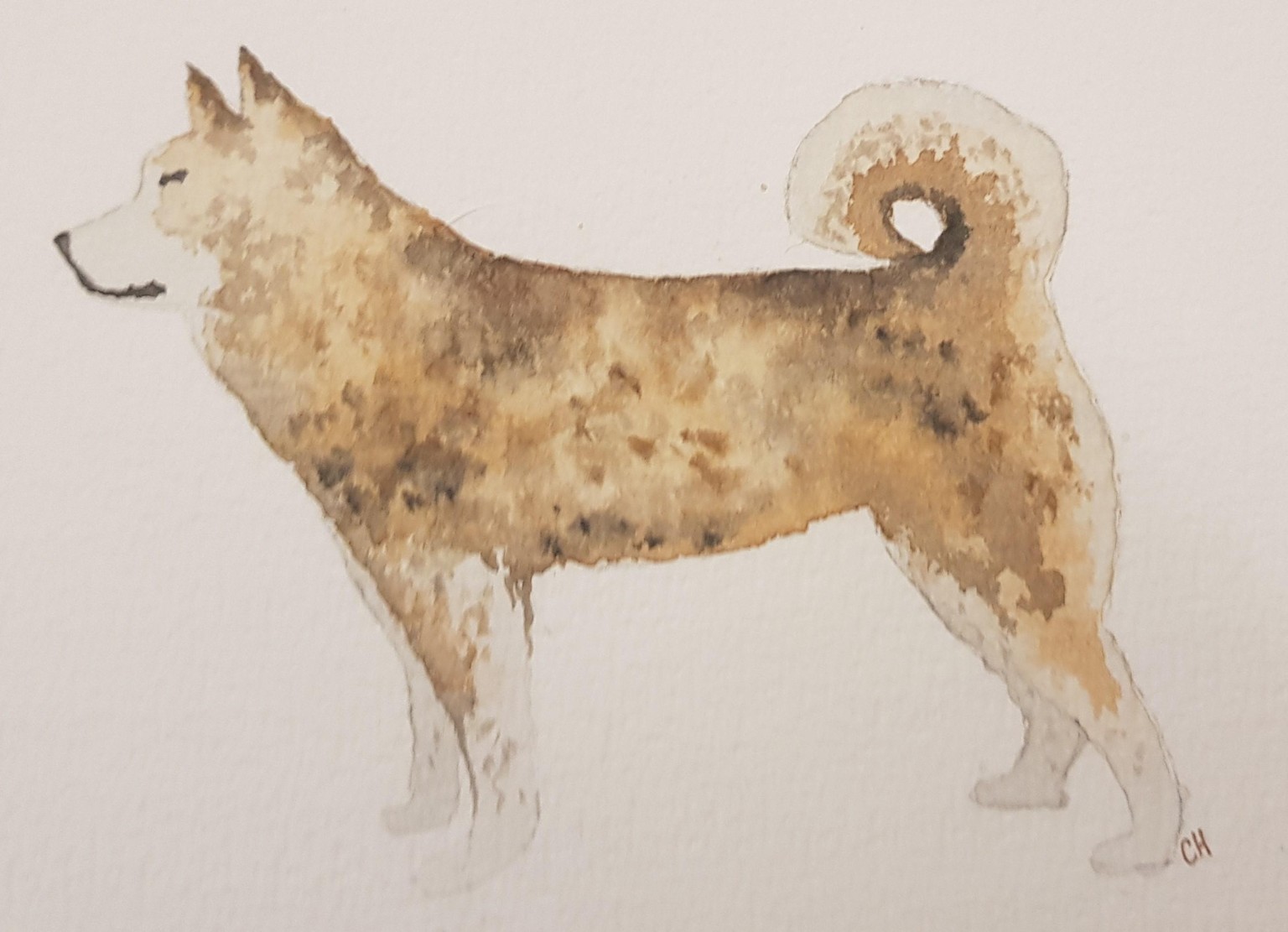 Watercolor Doggies - image 2 - student project