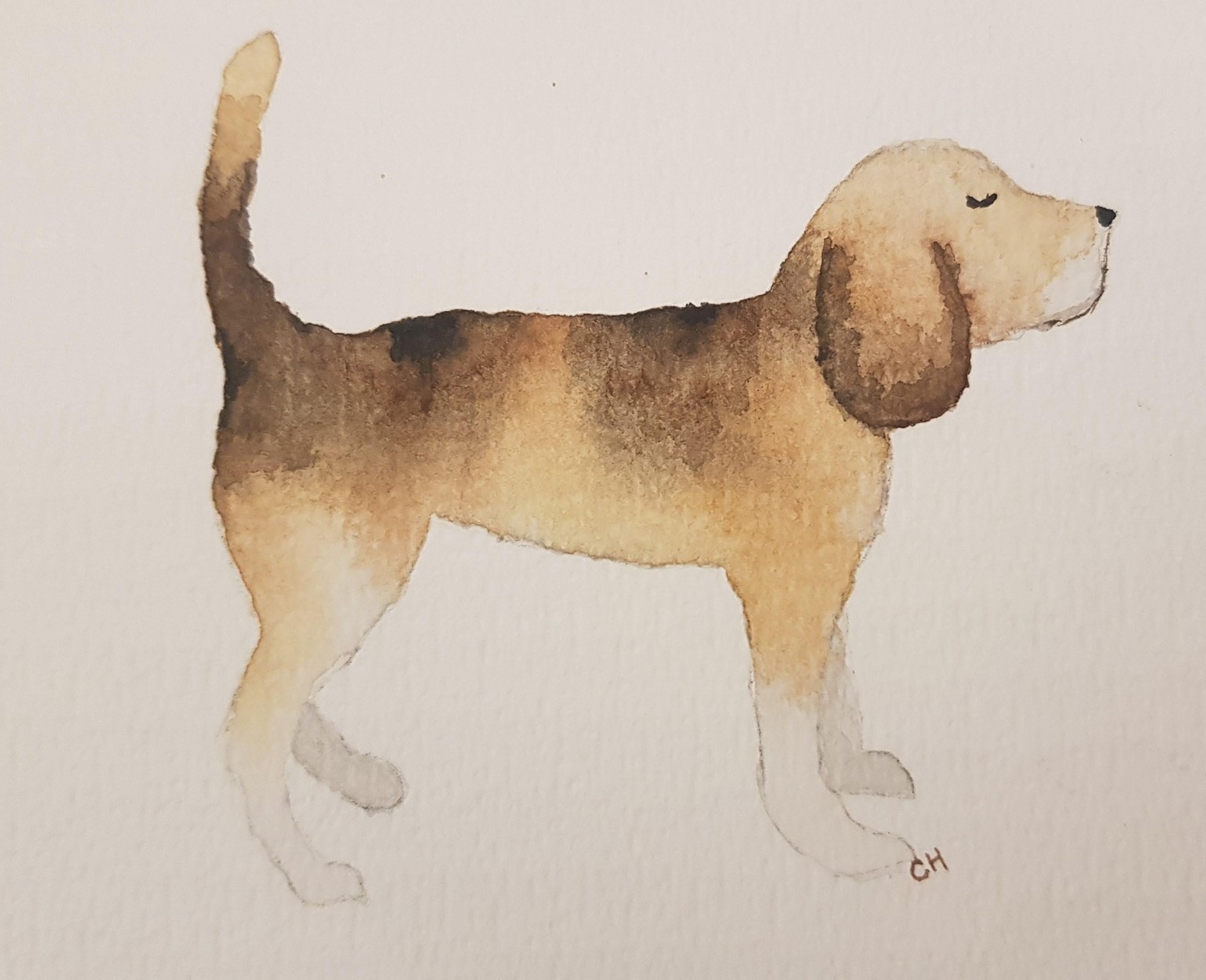 Watercolor Doggies - image 1 - student project