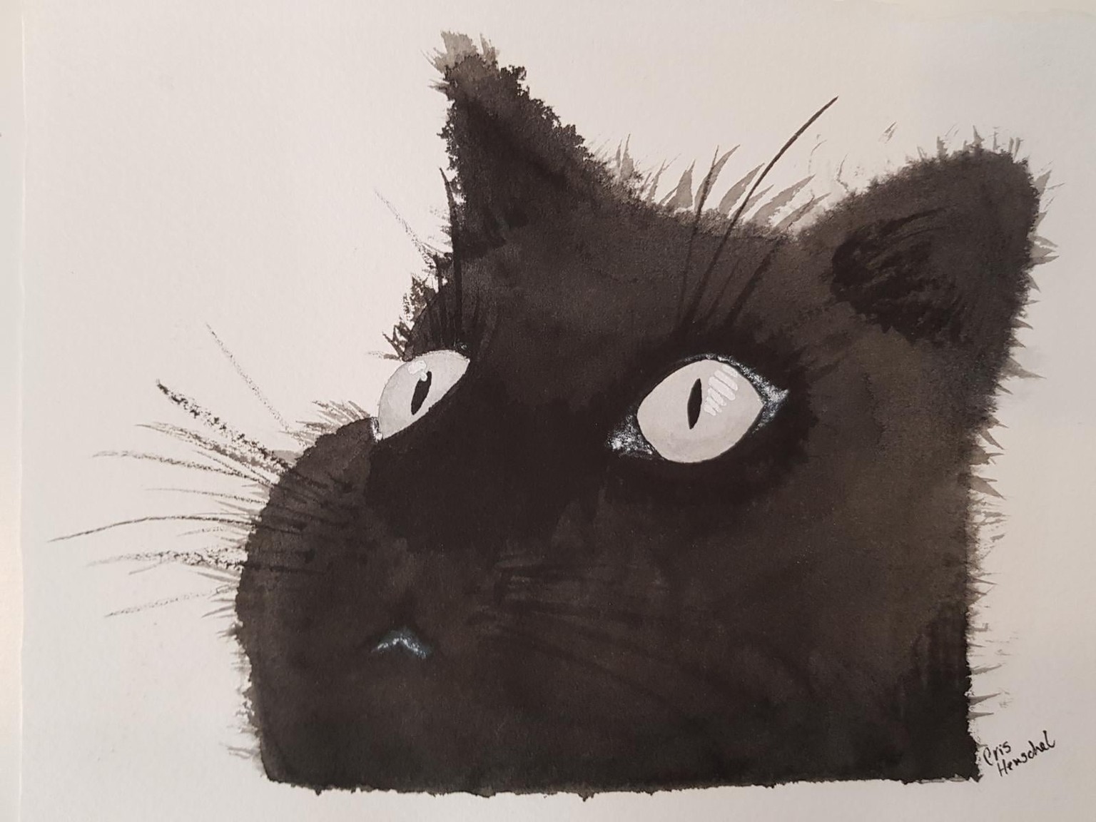 Cat's eyes - image 1 - student project
