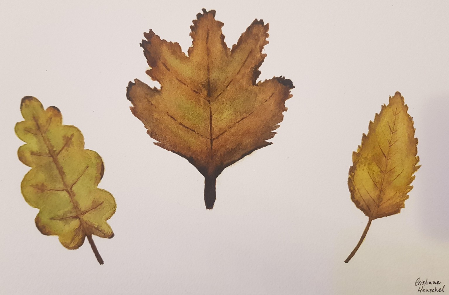 Autumn Watercolor Paintings - image 4 - student project