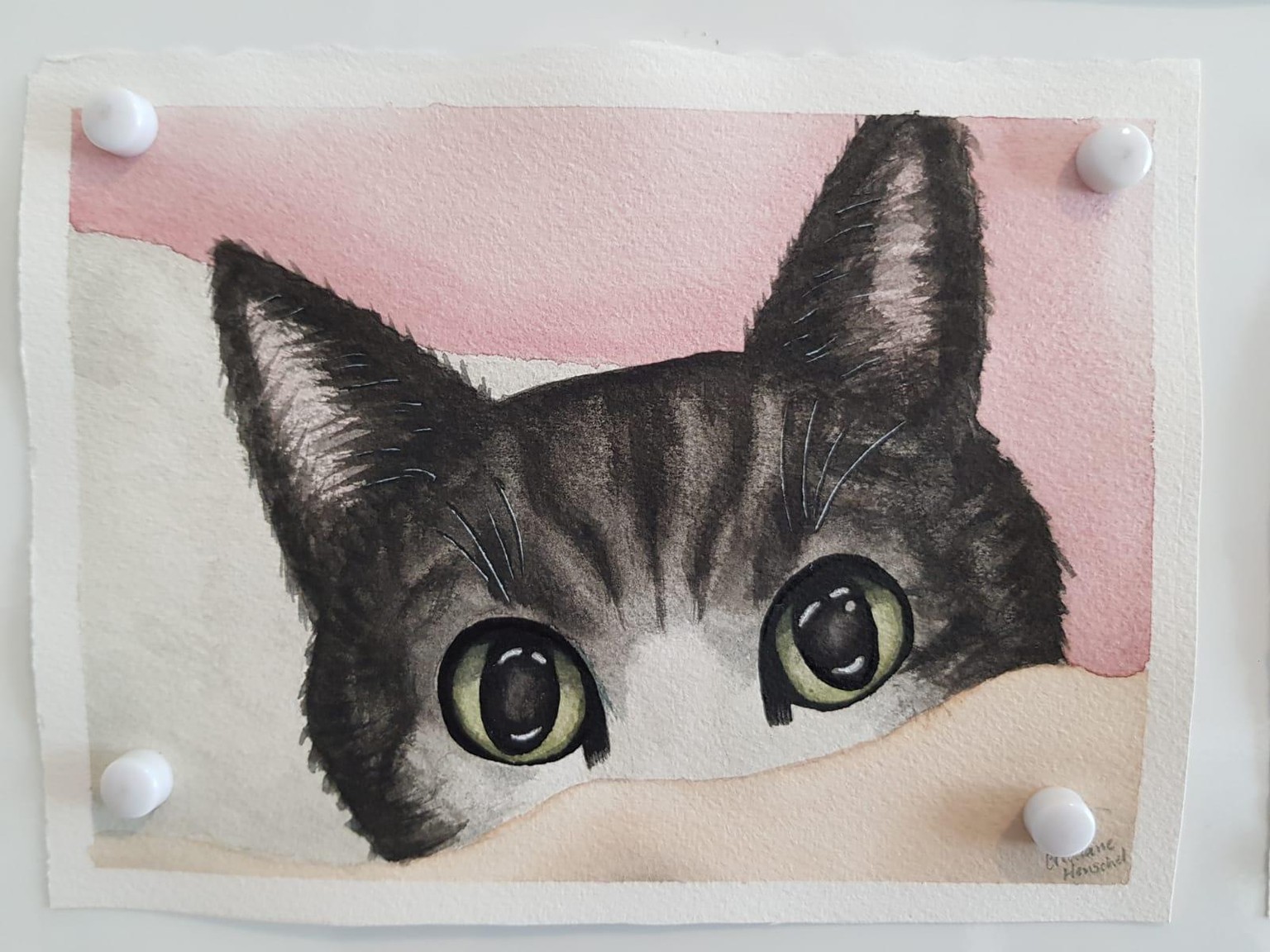 Cat's eyes - image 2 - student project