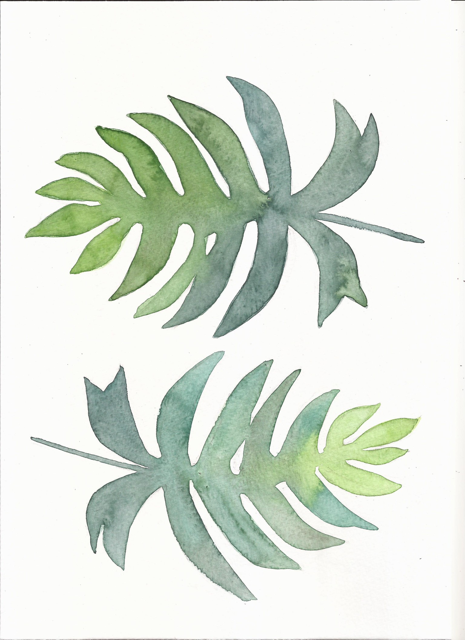 Philodendron - image 1 - student project