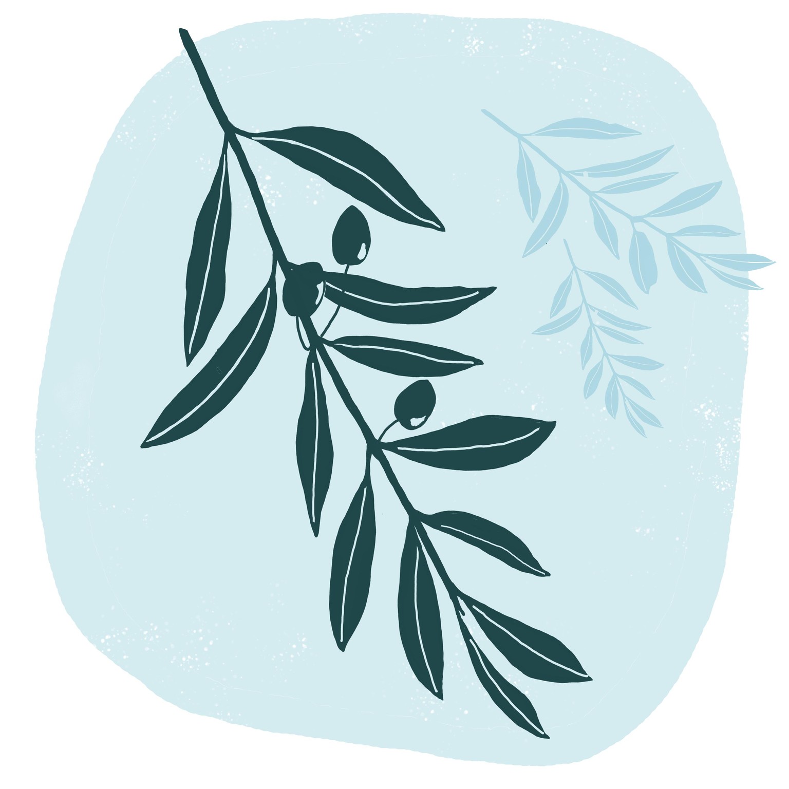 Branch from the olive tree - image 1 - student project