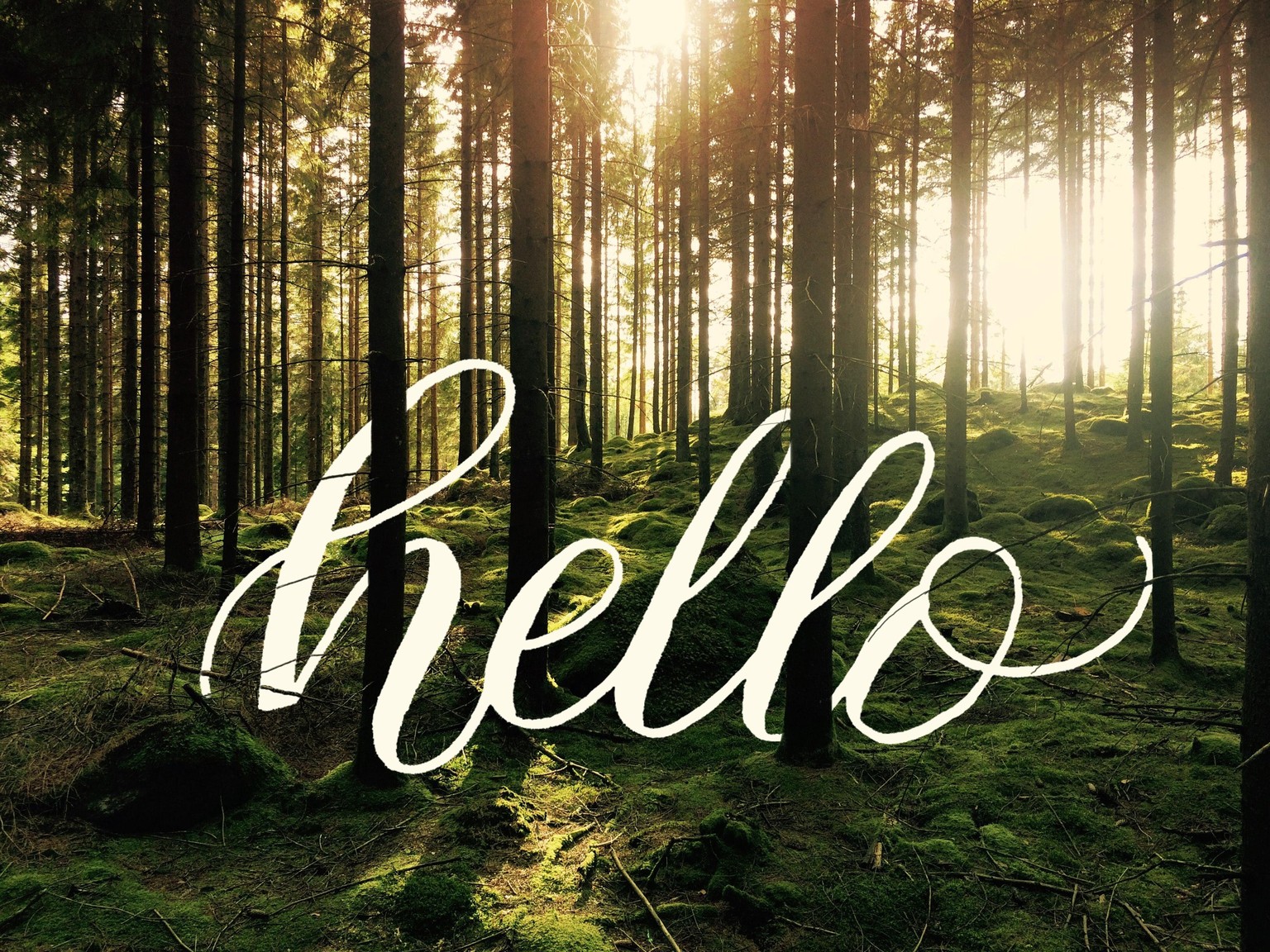 Lettering - image 1 - student project