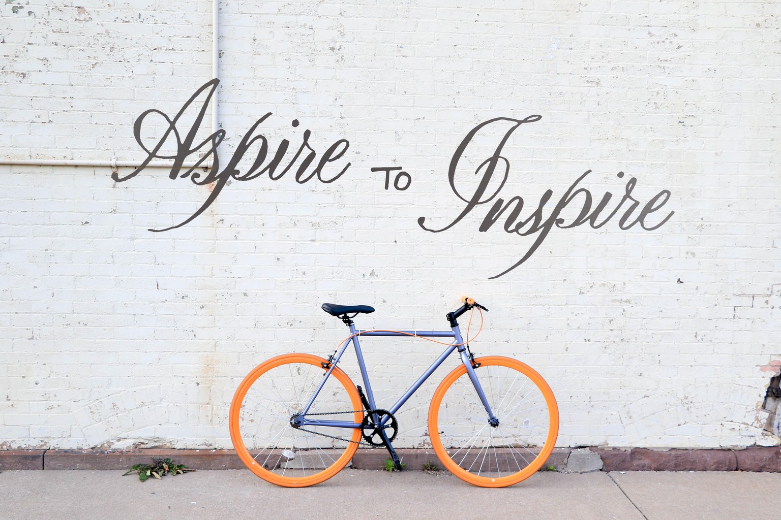 Lettering - image 2 - student project