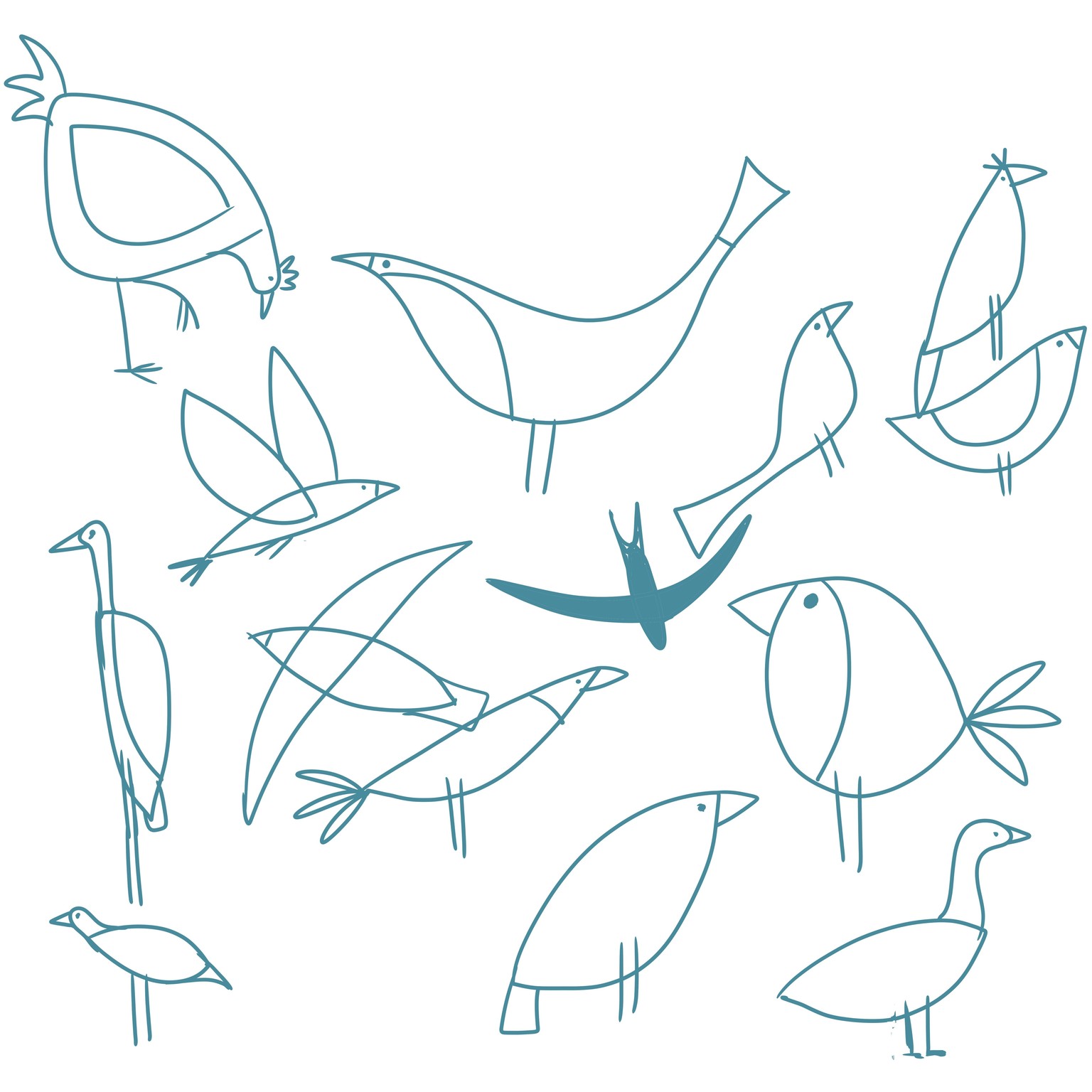 Birds Birds Birds - Sample Project - image 2 - student project