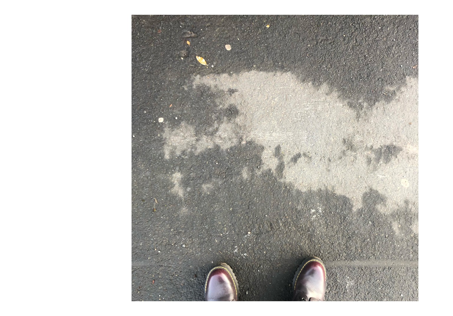 Sample Project - Dragon on a Wet Road Surface - image 1 - student project