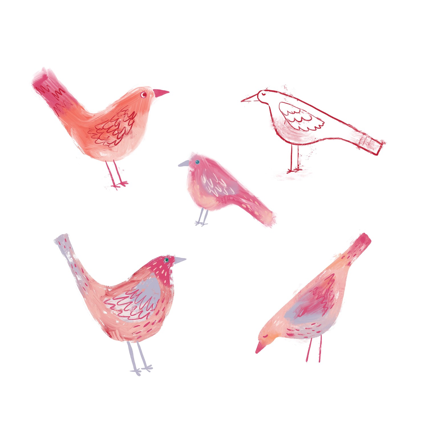 Birds Birds Birds - Sample Project - image 3 - student project