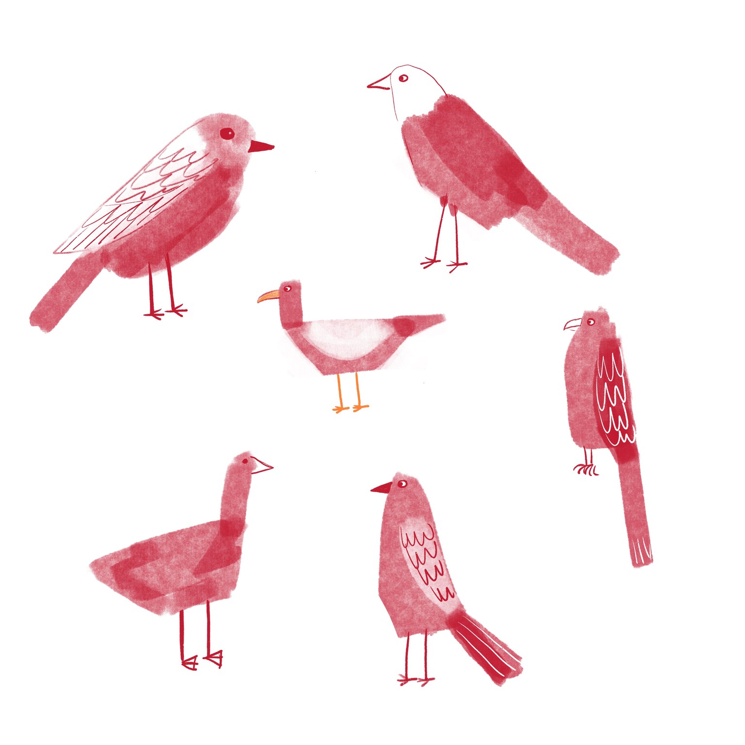 Birds Birds Birds - Sample Project - image 9 - student project
