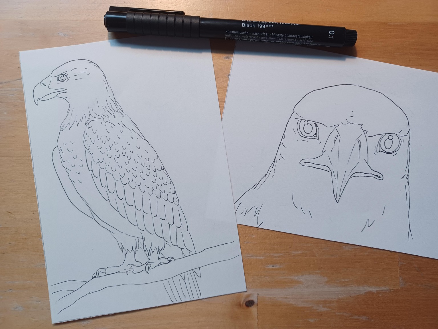 Owls & Co. - image 4 - student project