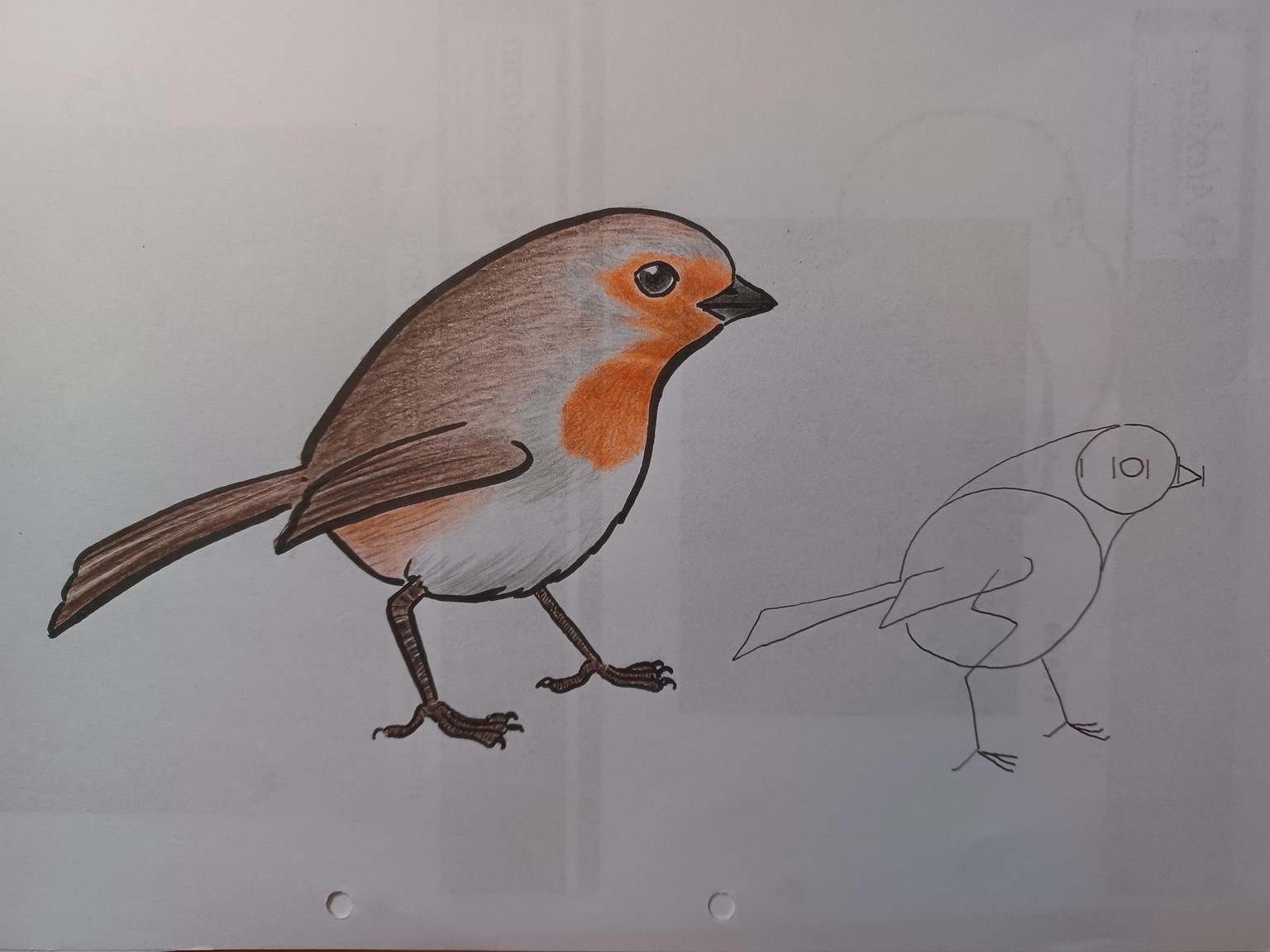 Owls & Co. - image 3 - student project