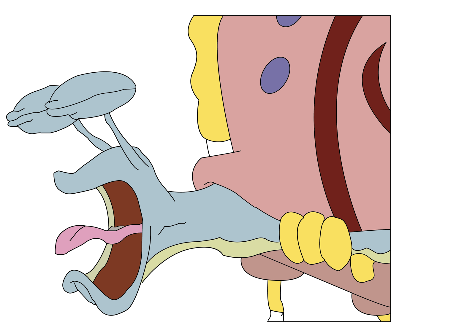 Gary Coughing from Spongebob - image 2 - student project