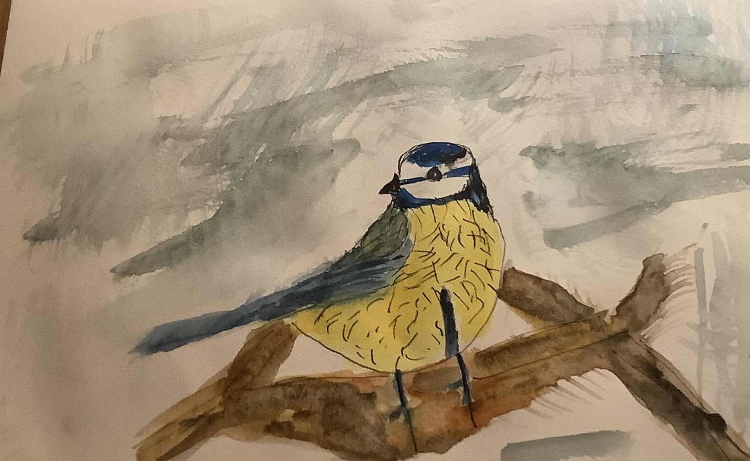 Watercolor and Pen. Blue Tit - image 1 - student project