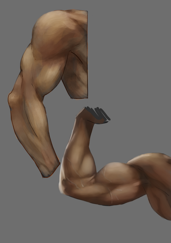 Body Part Studies - image 1 - student project