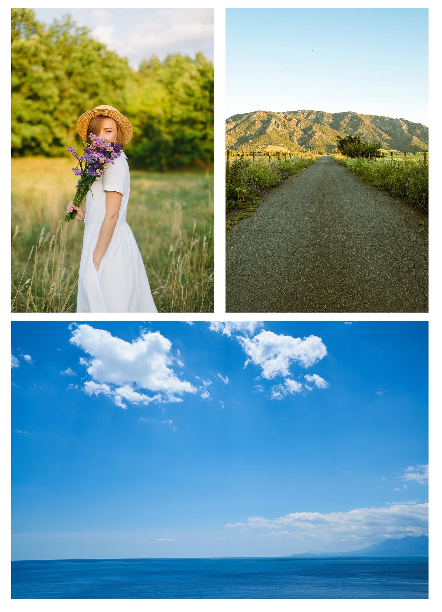 Sunny - image 2 - student project