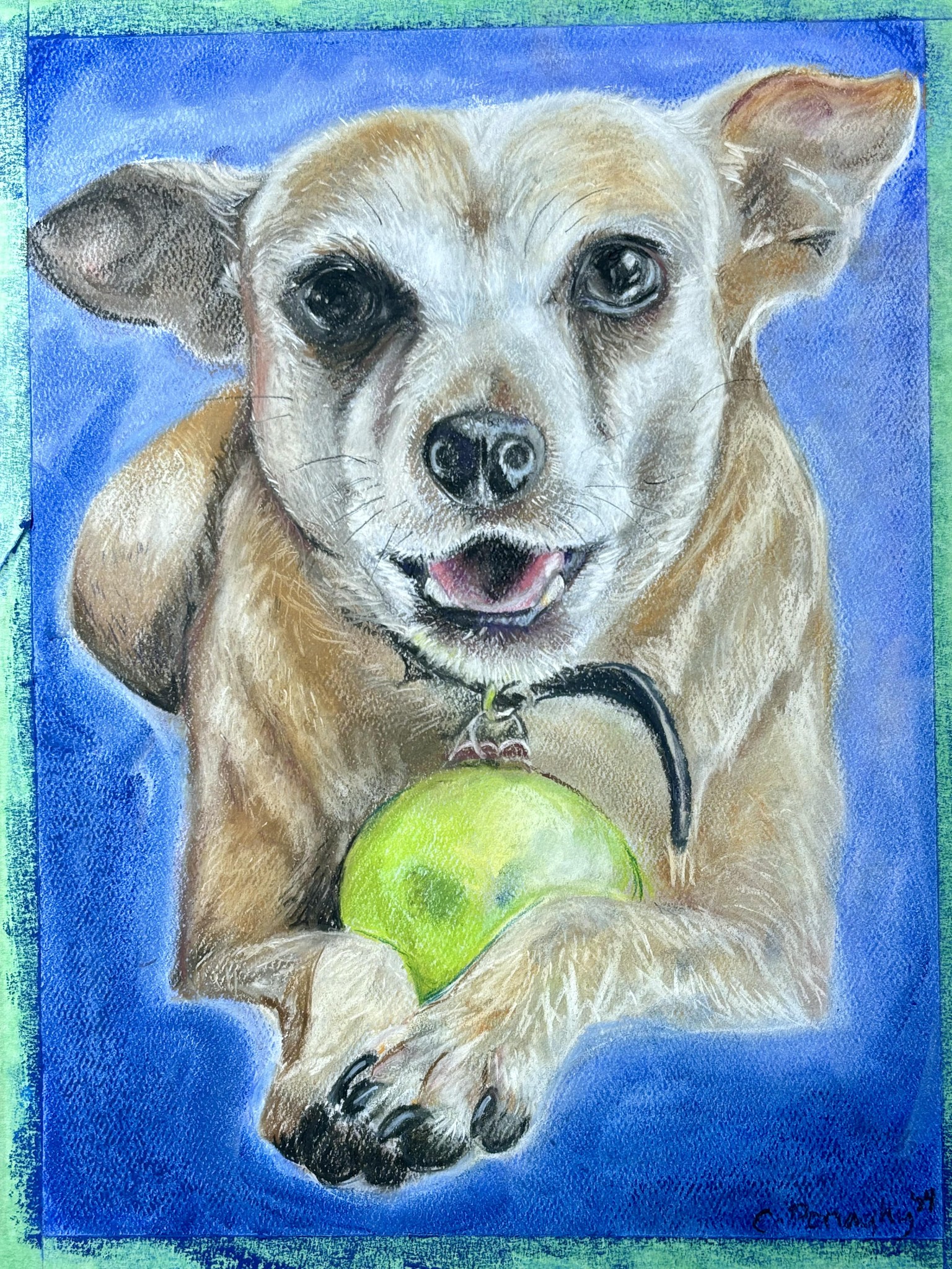 My old dog - image 1 - student project