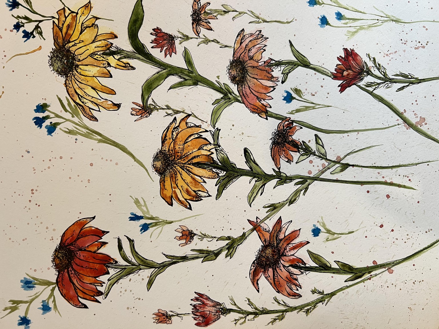 Watercolor & ink wild flowers - image 1 - student project