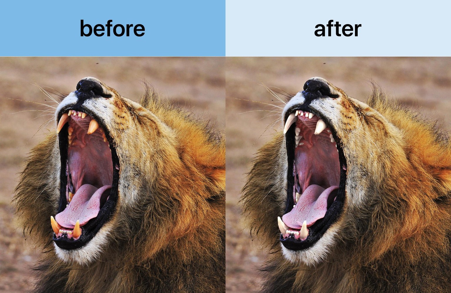 Retouching - image 6 - student project
