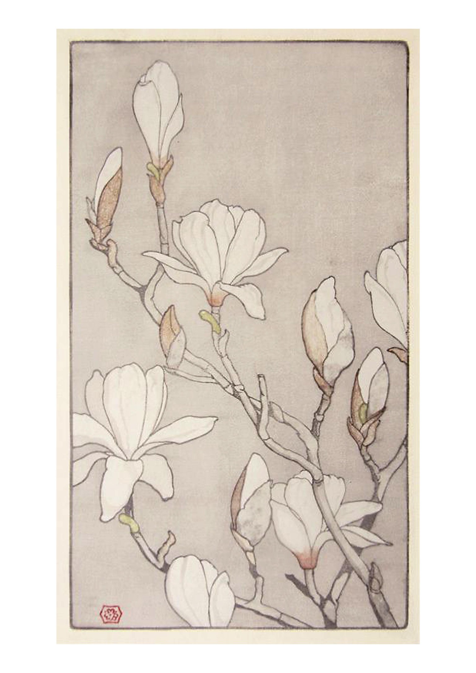 Magnolias - image 1 - student project