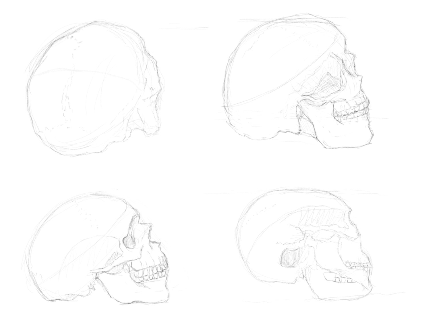 First tries of a skull at different angles - image 2 - student project