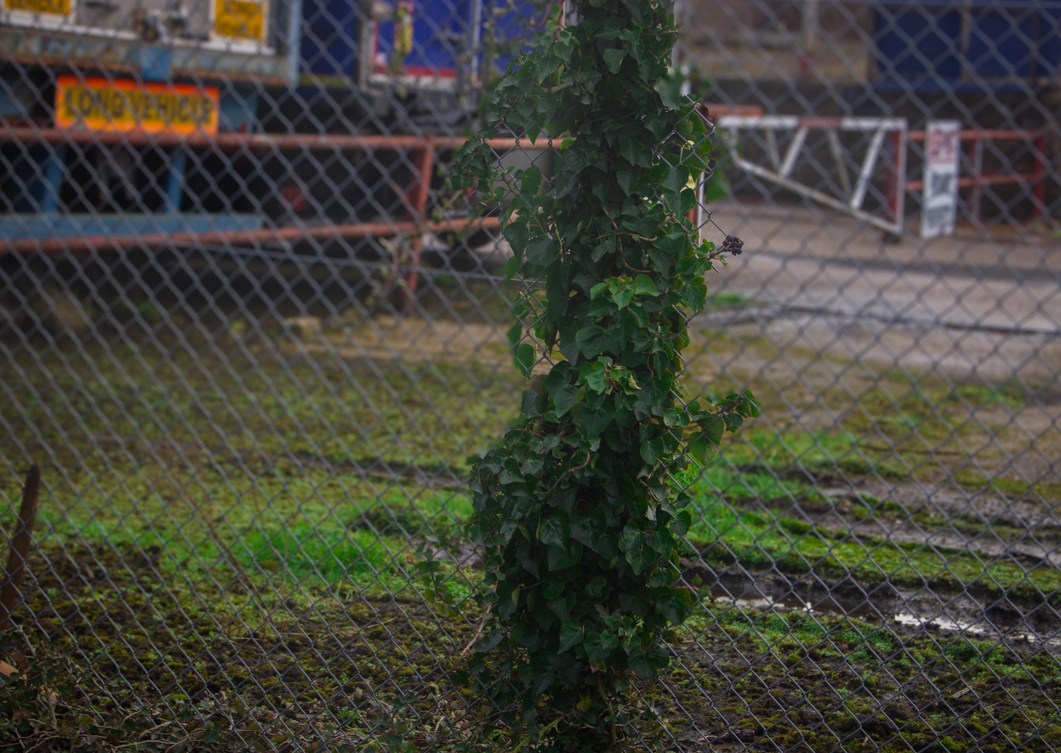 Signs of Nature - image 1 - student project