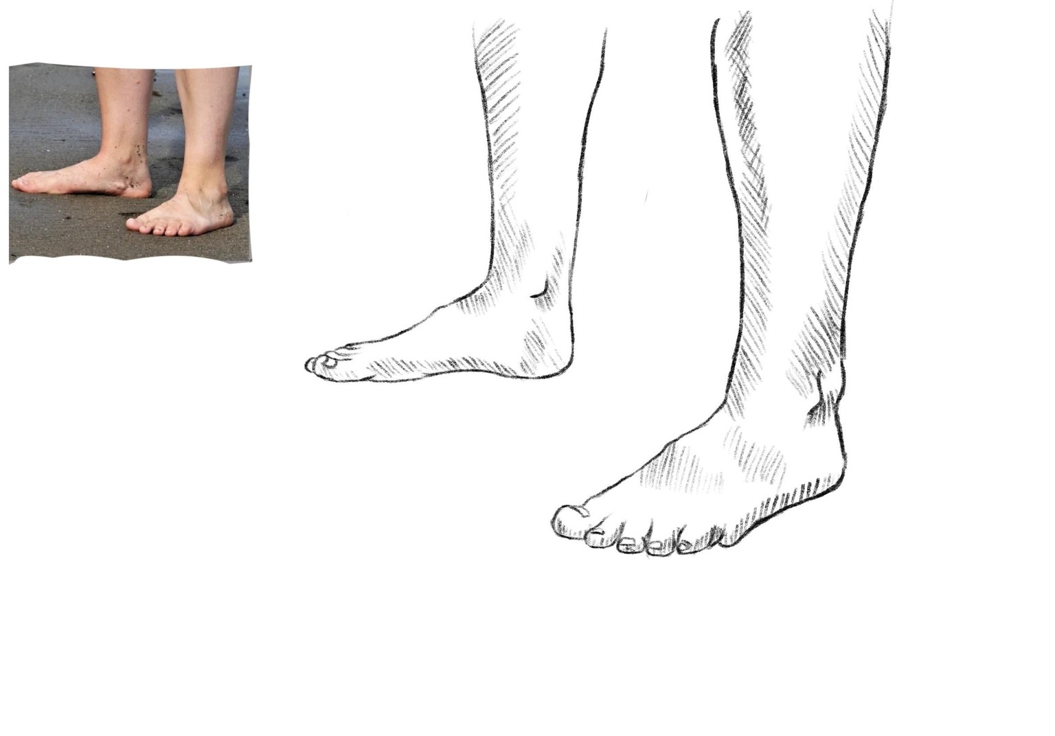 Joely H - Feet drawing practice - image 2 - student project