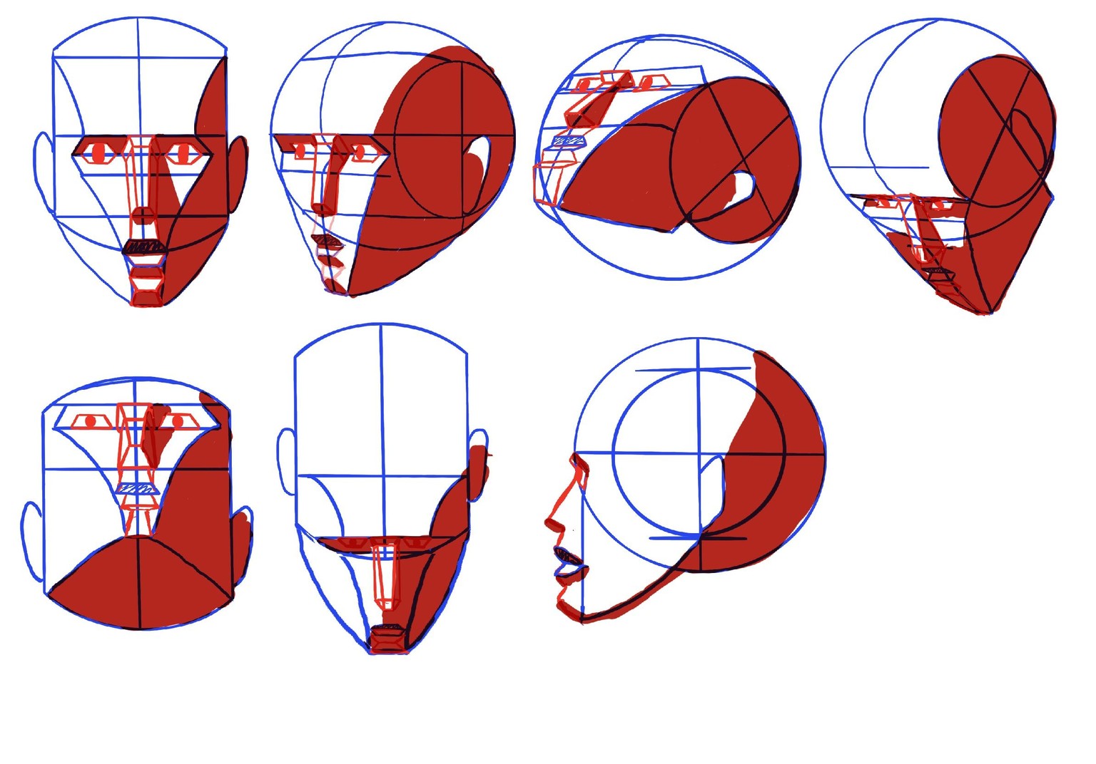 Joely H - Head Perspective - image 4 - student project