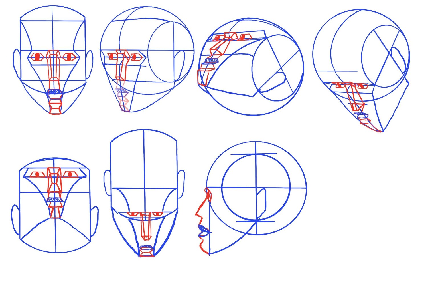 Joely H - Head Perspective - image 2 - student project
