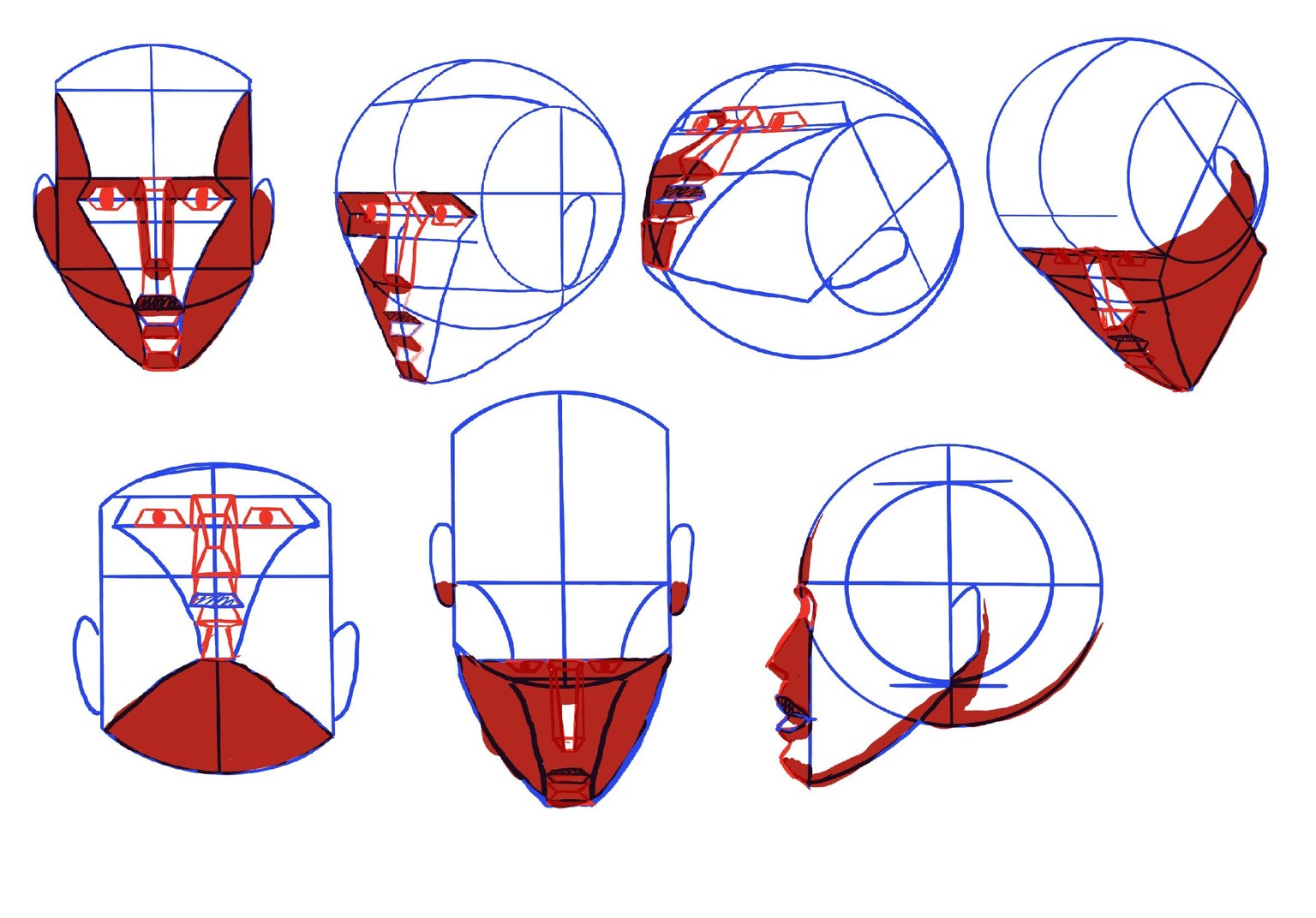 Joely H - Head Perspective - image 3 - student project