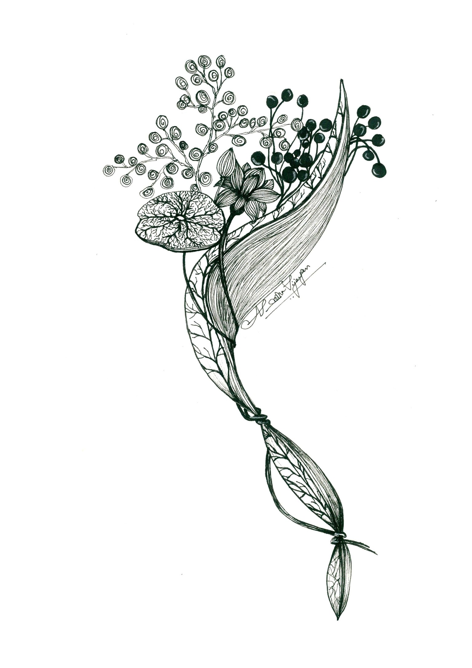 Lotus, Leaves and imagination - image 1 - student project