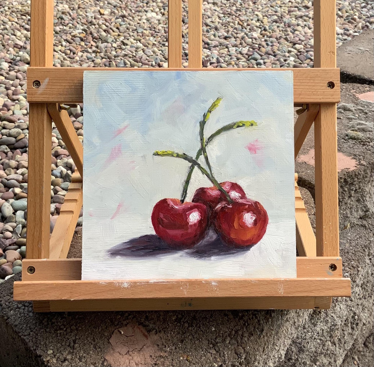 Alla Prima Cherries - image 1 - student project