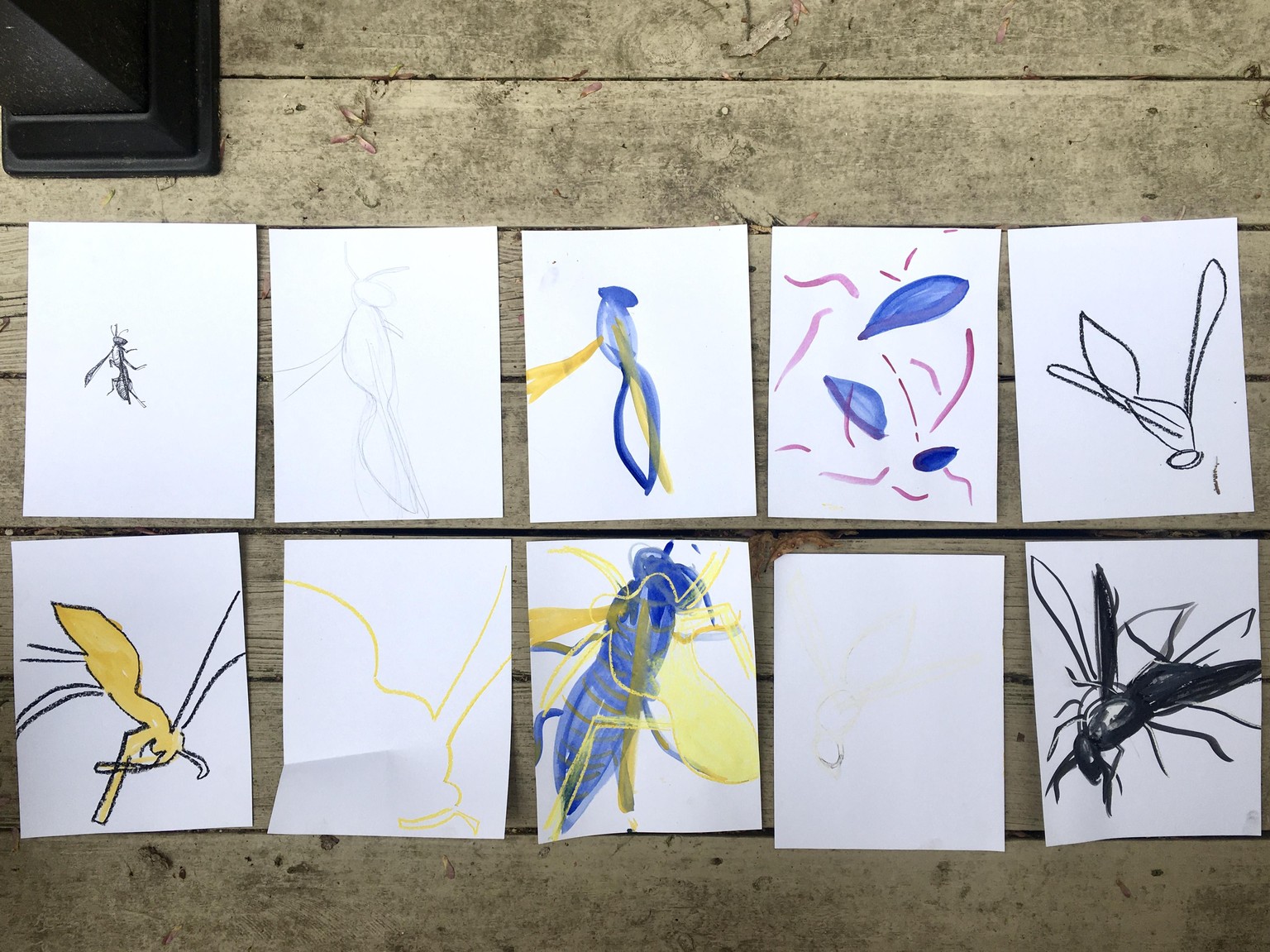 Creativity and the Wasp - image 1 - student project