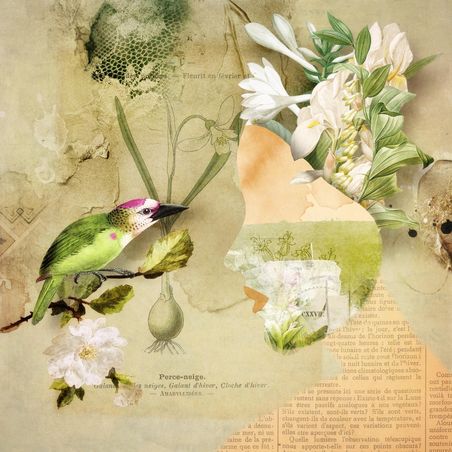 Collage - image 1 - student project