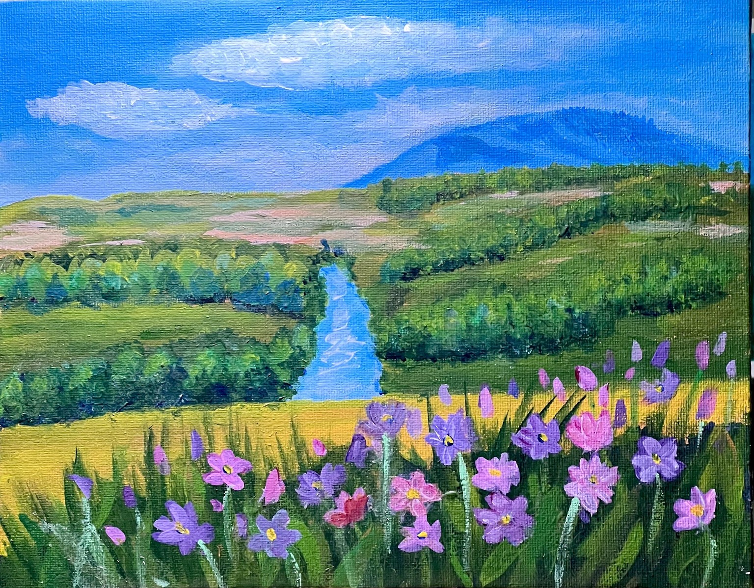Landscape in acrylic (Mont Marte) on canvas board - image 1 - student project