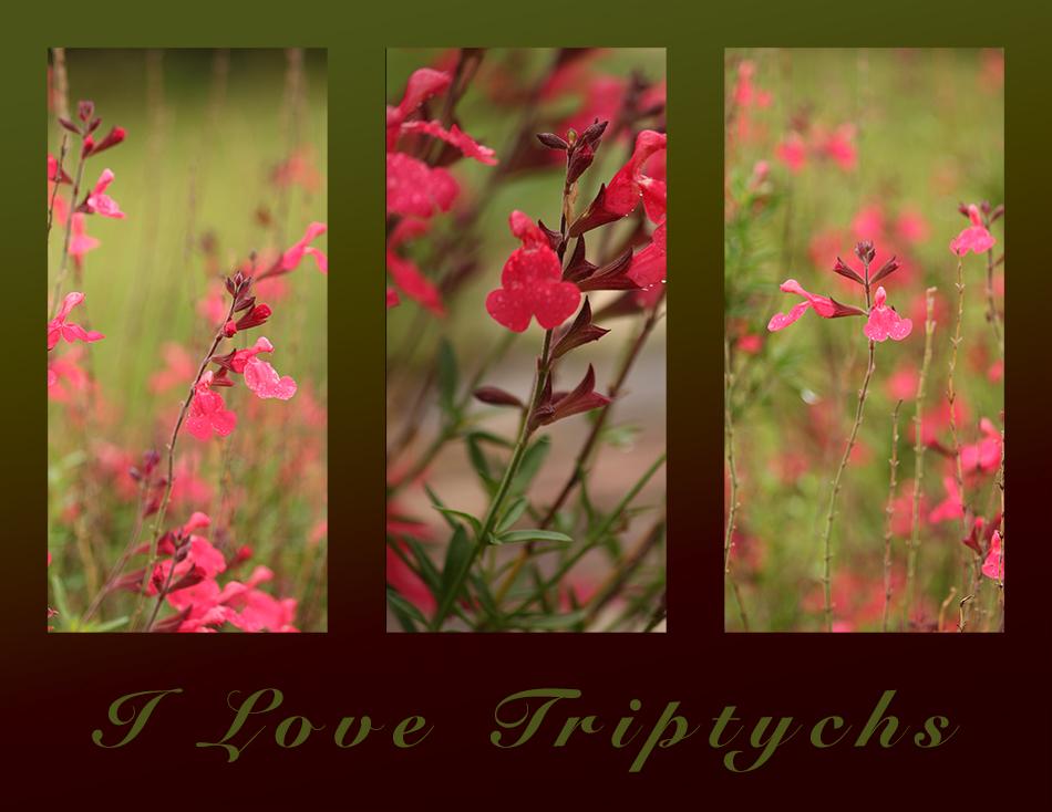 Fun with triptychs - image 1 - student project