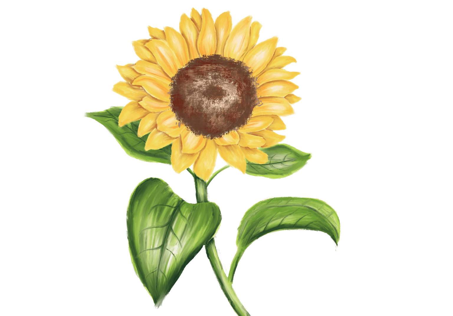 Acrylic Sunflower - image 1 - student project