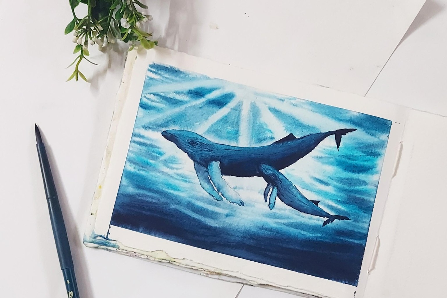 Oceanscape - image 2 - student project