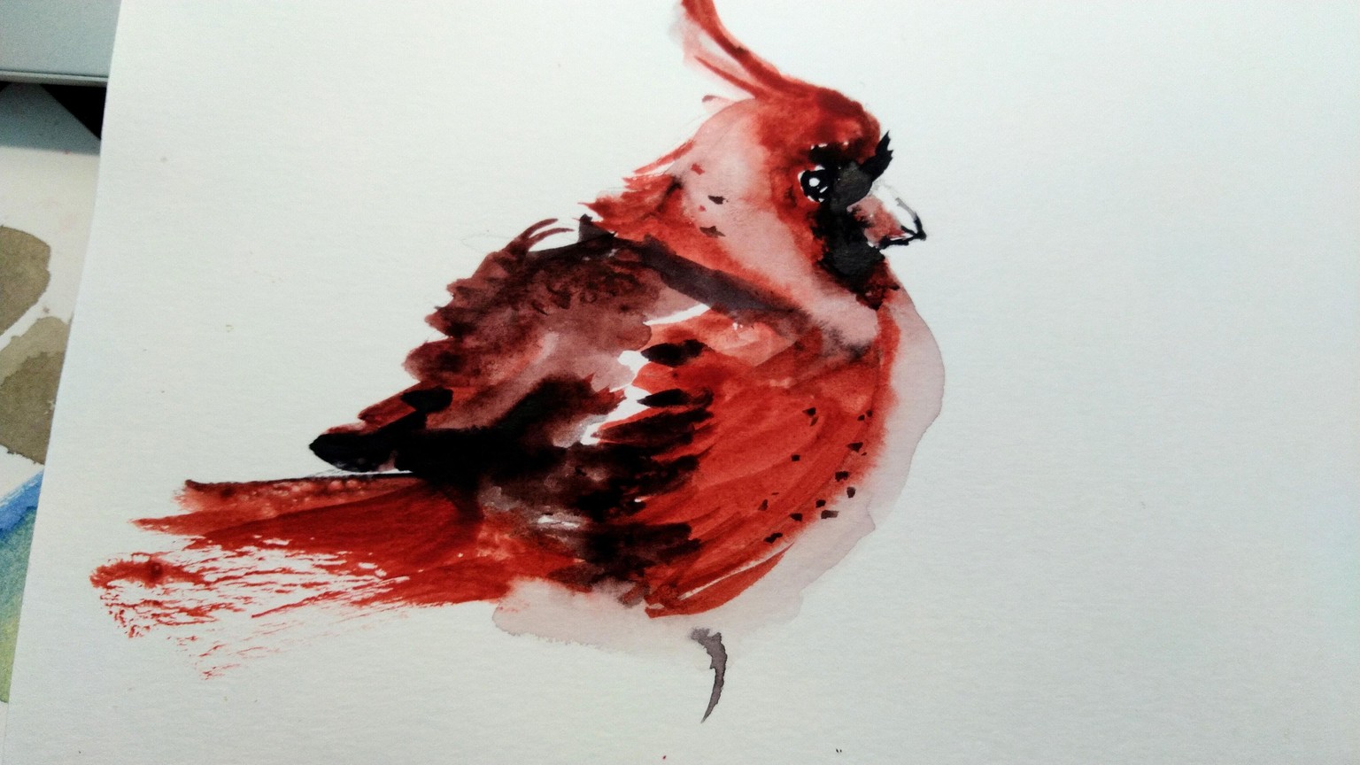 Red Cardinal - image 2 - student project