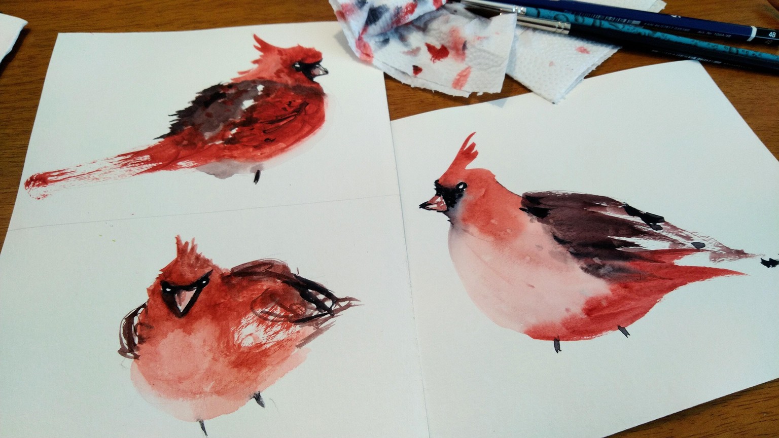 Red Cardinal - image 1 - student project