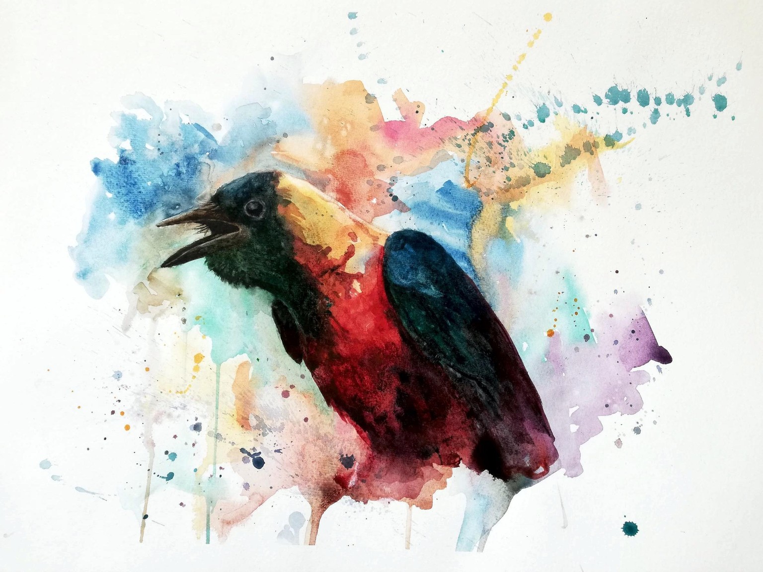 Charming Colourful Crow - image 1 - student project