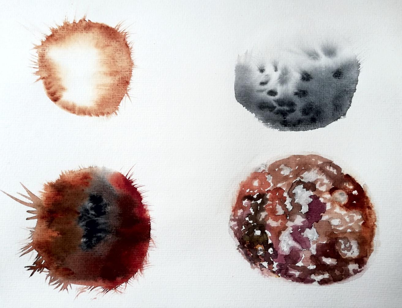Winter So Close - image 4 - student project