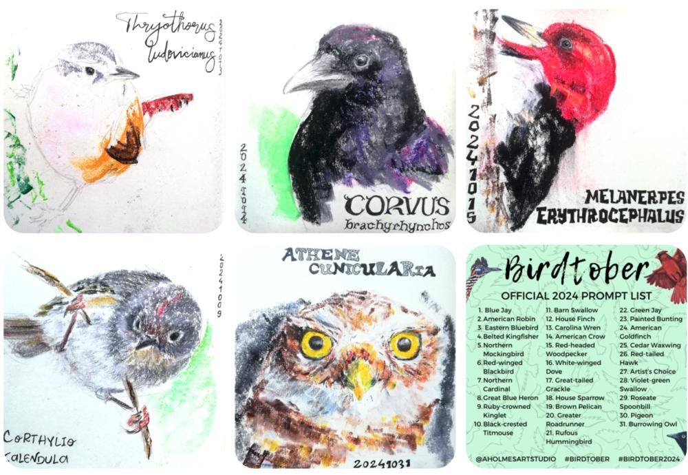 Best Birdtober feat. Compingo! ;D - image 1 - student project