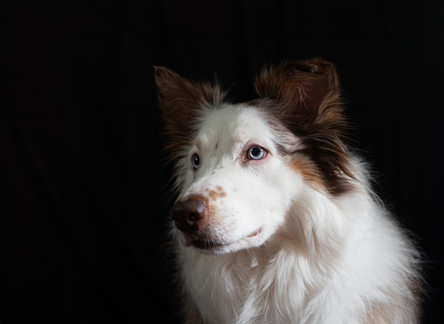 Kiara & Ella - image 1 - student project