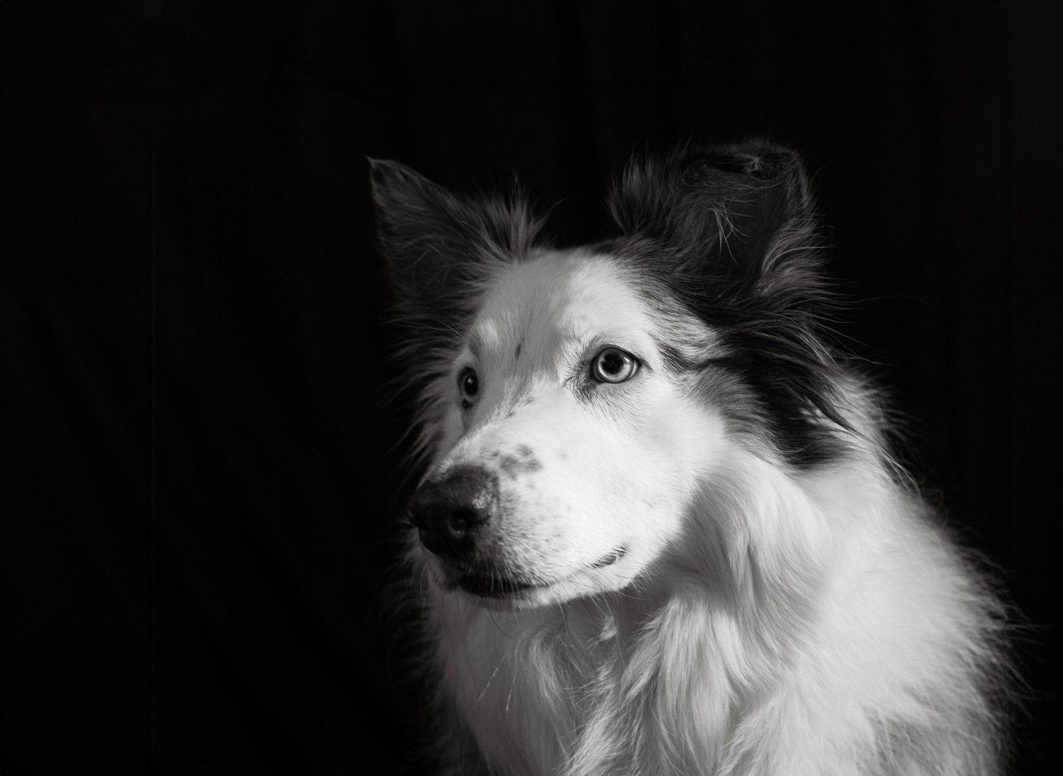 Kiara & Ella - image 2 - student project