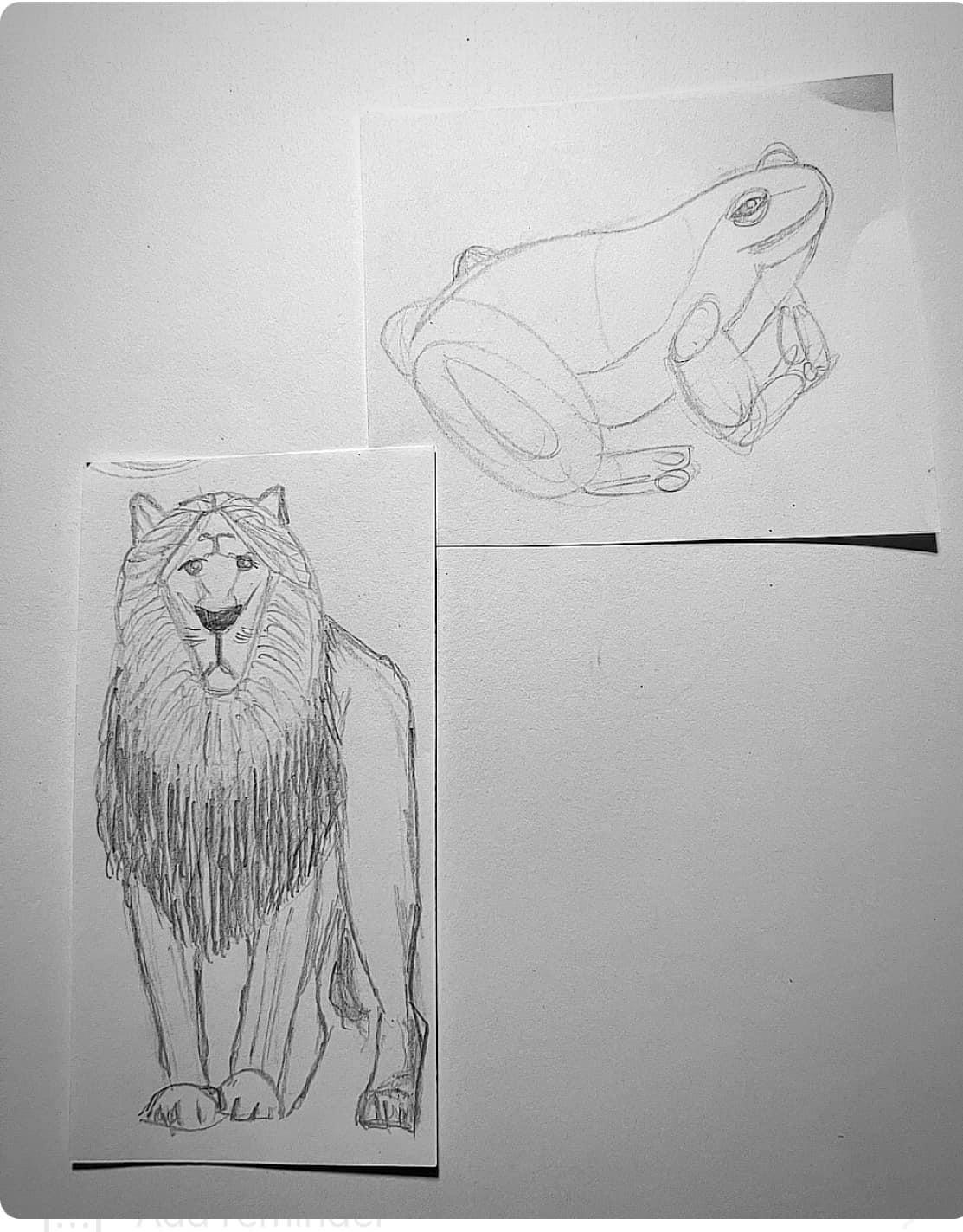Day 1 Lessons 1-10 plus Day 2 - image 1 - student project