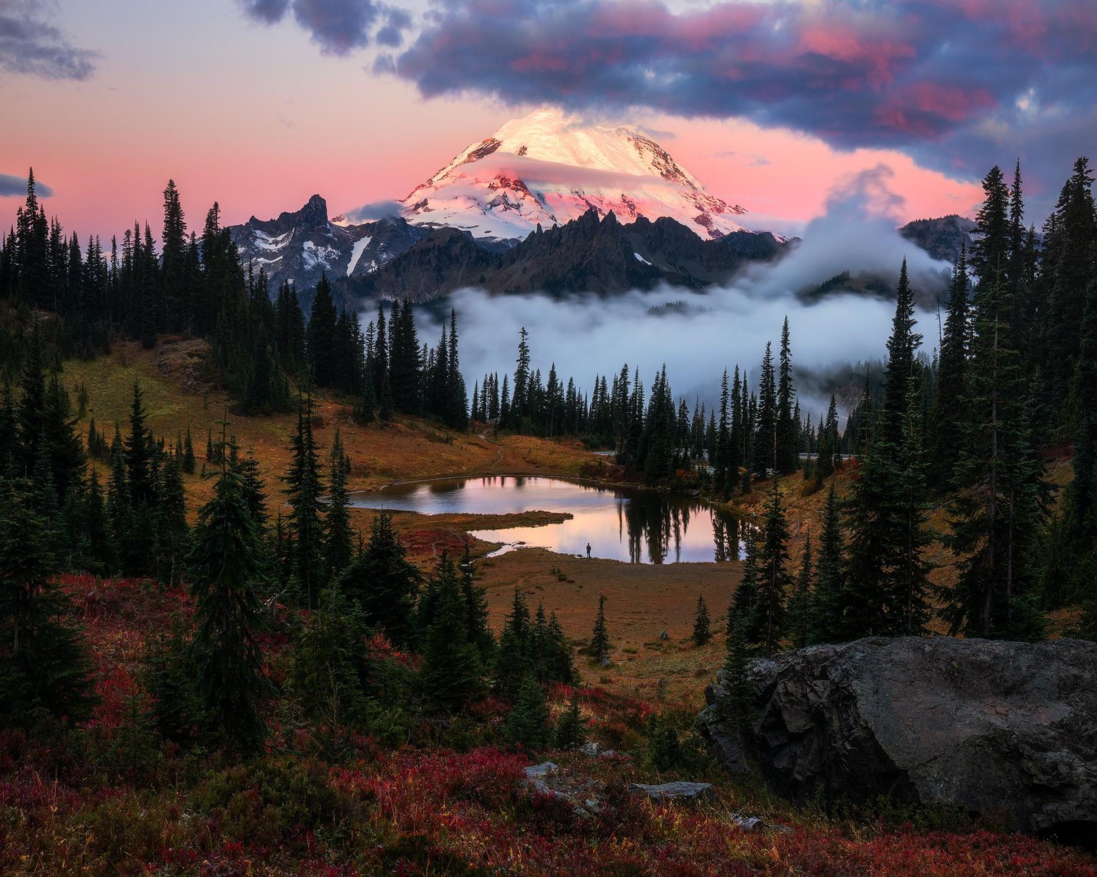 Some of my favorite images which were edited using curves in Adobe Photoshop - image 4 - student project