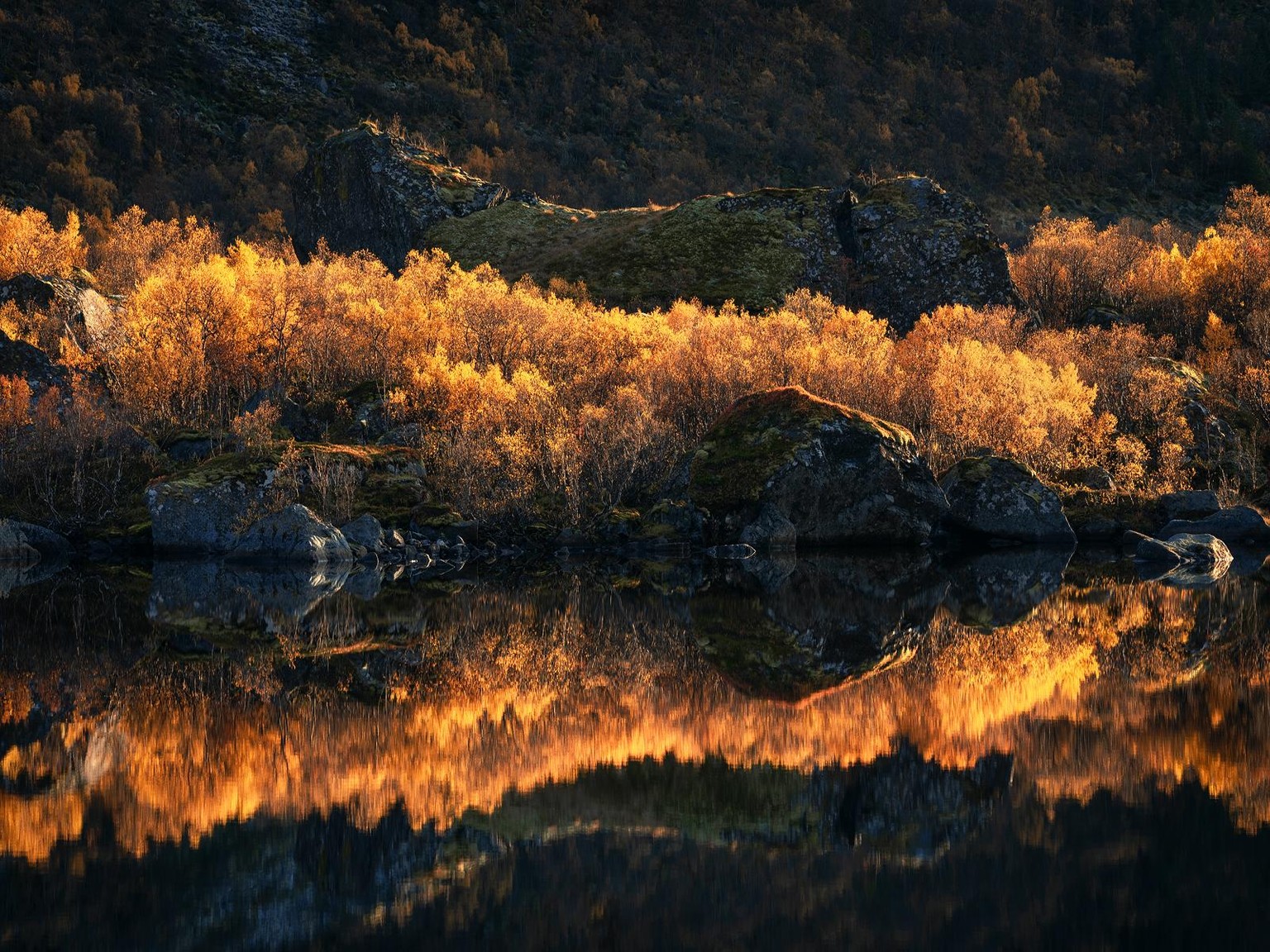 The following images were processed in this class :) - image 2 - student project