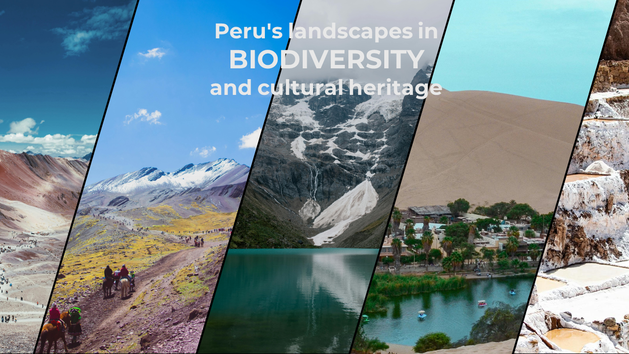 Exploring Peru - image 1 - student project
