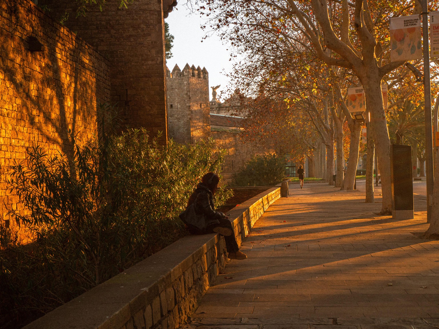 Sunny melancholy through my heart - image 5 - student project
