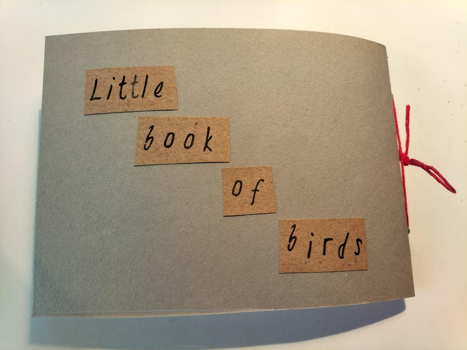 Little book of birds - image 1 - student project